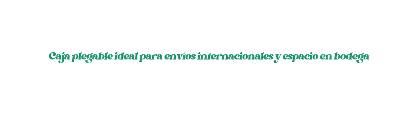Caja plegable ideal para envíos internacionales y espacio en bodega